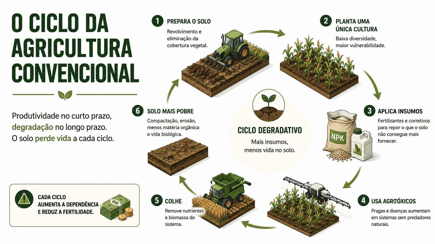 O Ciclo da Agricultura Convencional