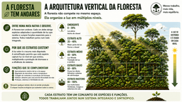 Capítulo 05