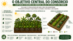 Capítulo 06