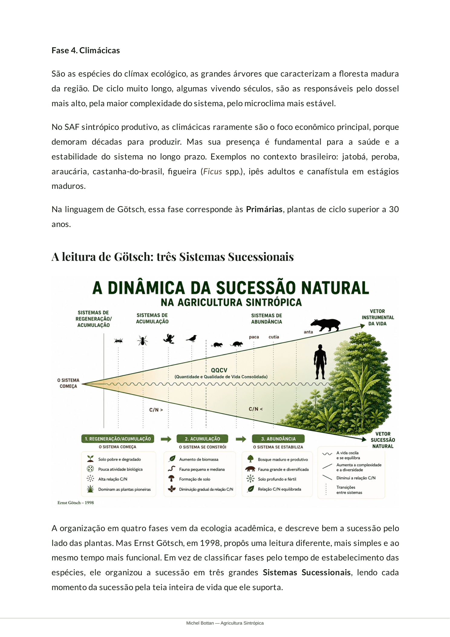 A Dinâmica da Sucessão Natural