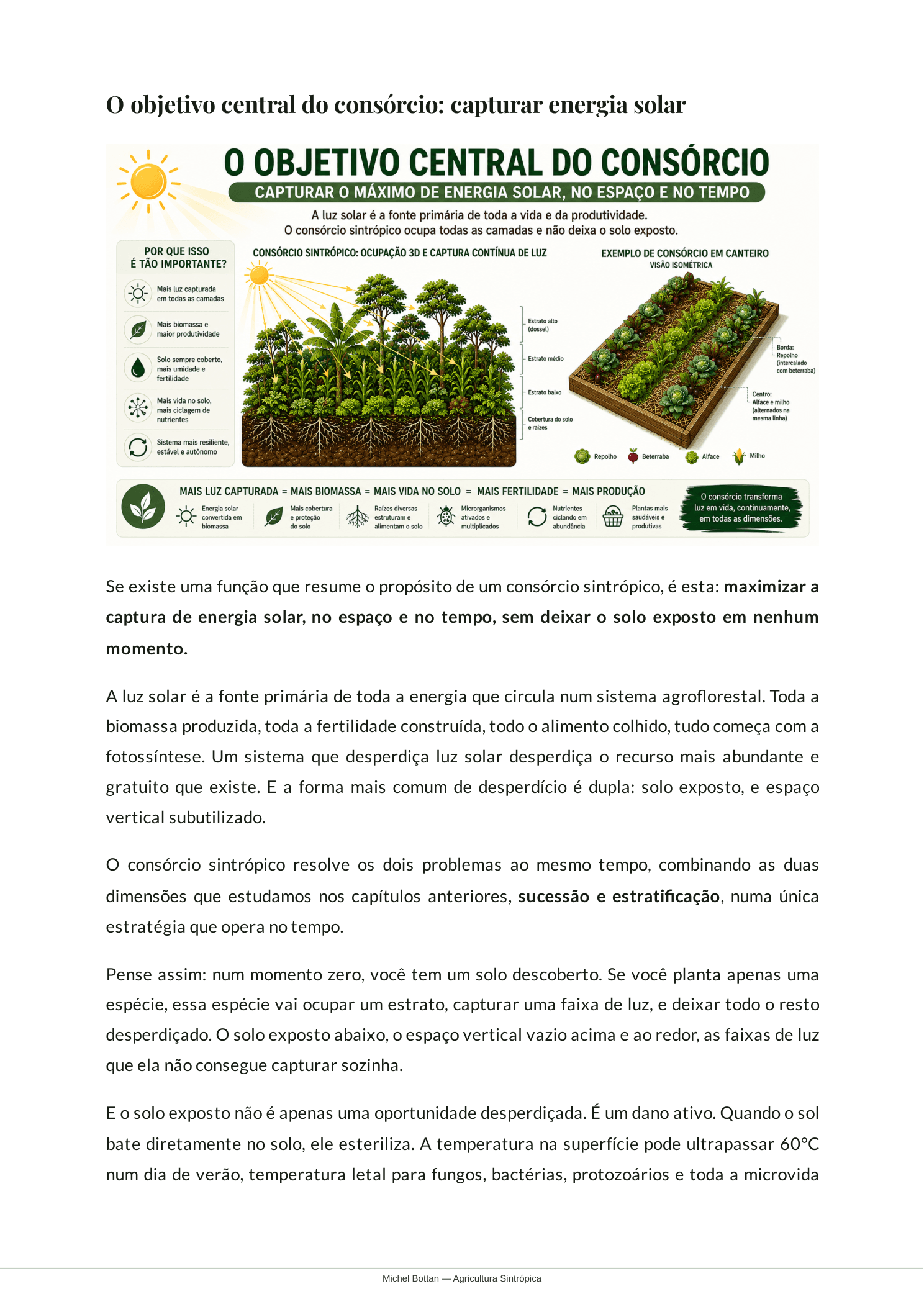 O Objetivo Central do Consórcio