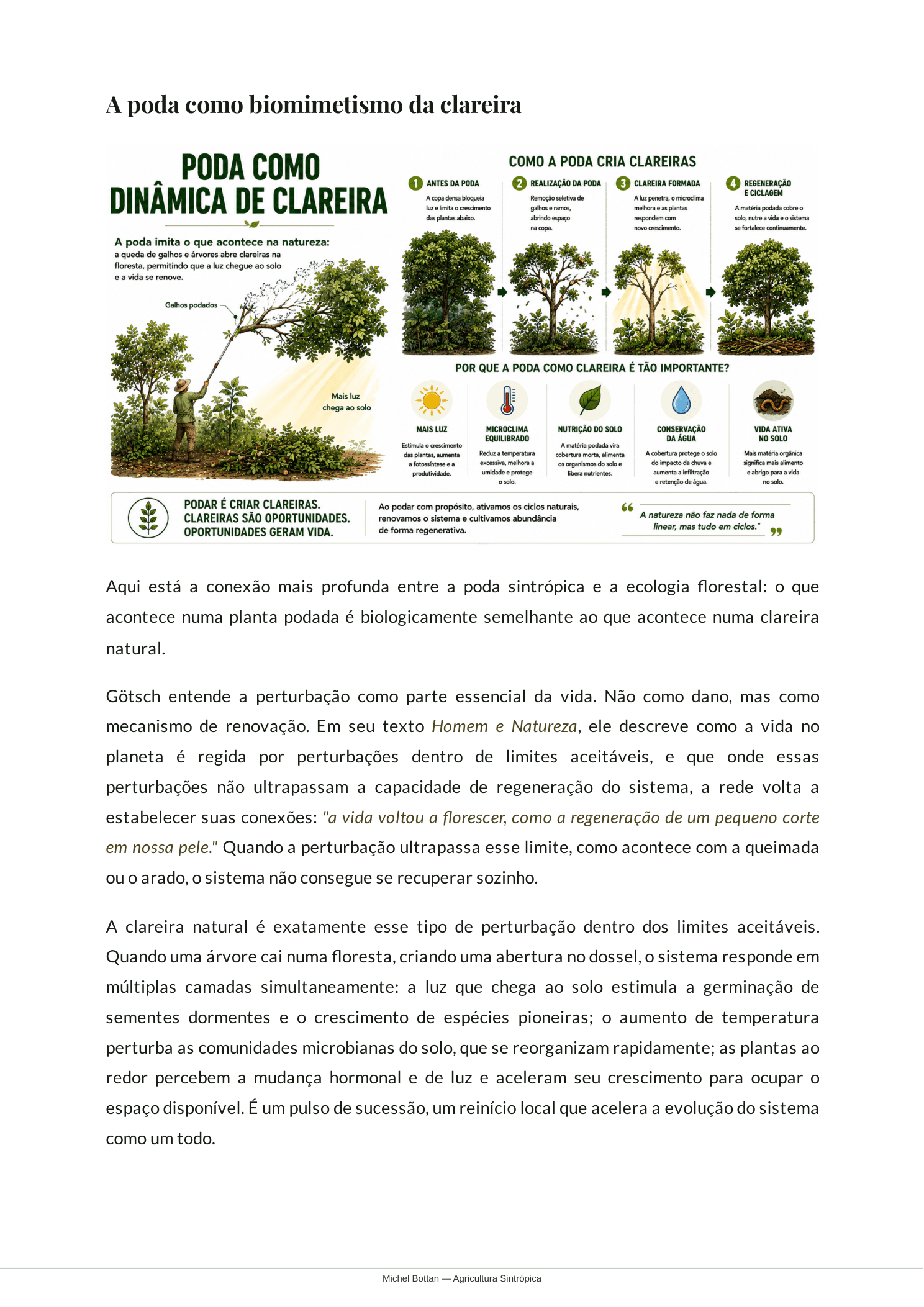 Poda como Biomimetismo